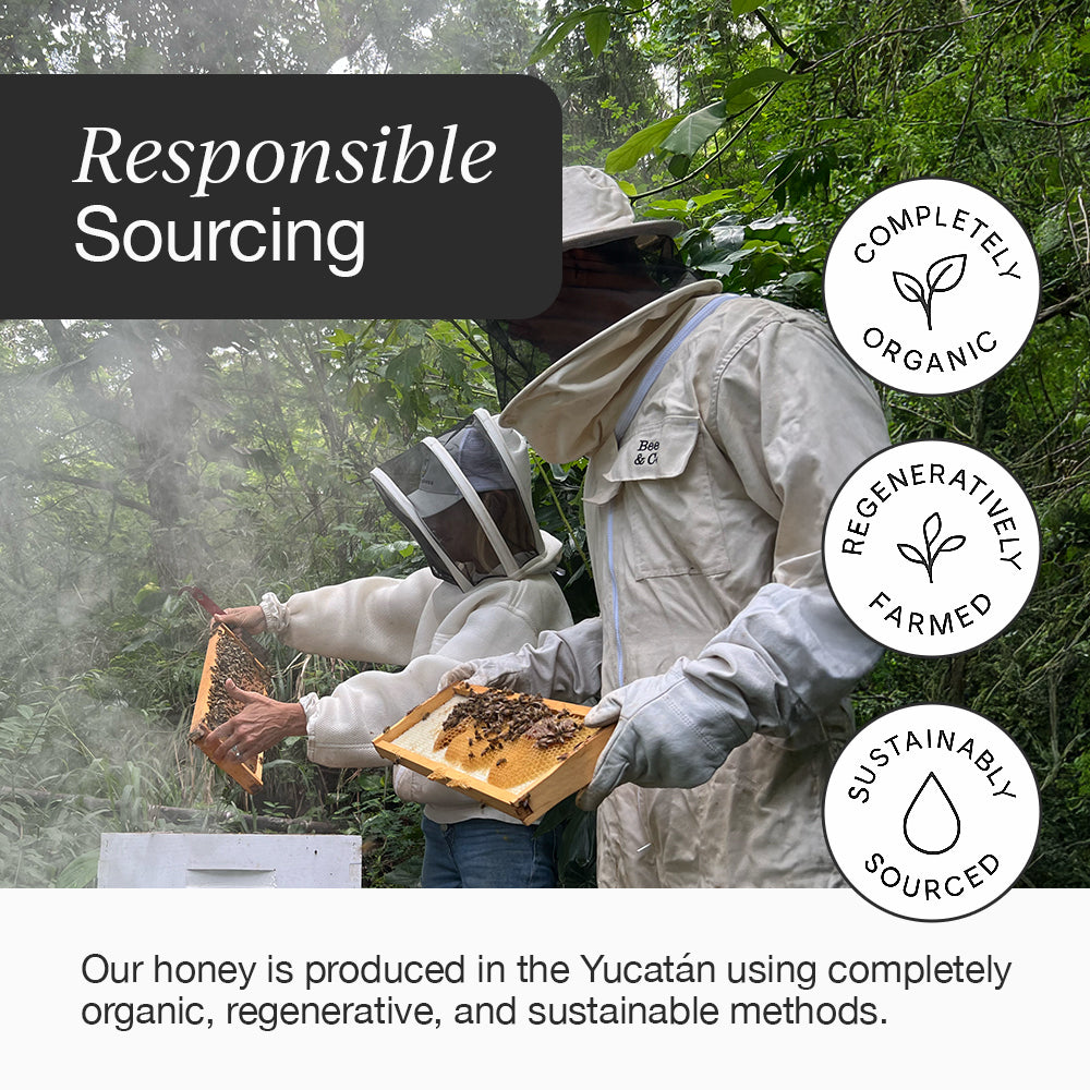 HNY+ organic Yucatán honey